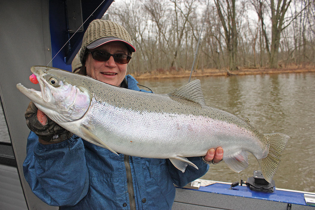 Michigan Steelhead Fishing - Guided Steelhead Trout Salmon River Trips