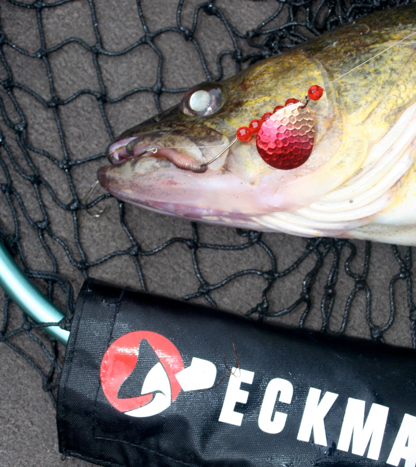 Colorado Fishing Articles - Ice Fishing with Floats. You'll Catch