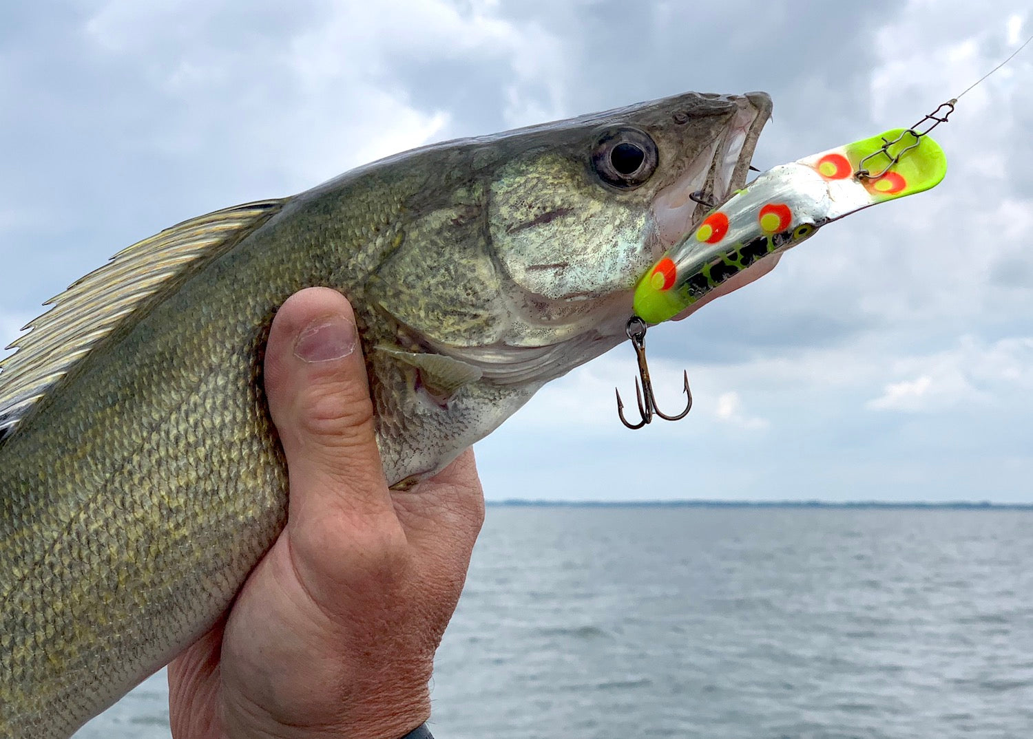 Casting for Walleyes on Crank by Matt Straw – Great Lakes Angler