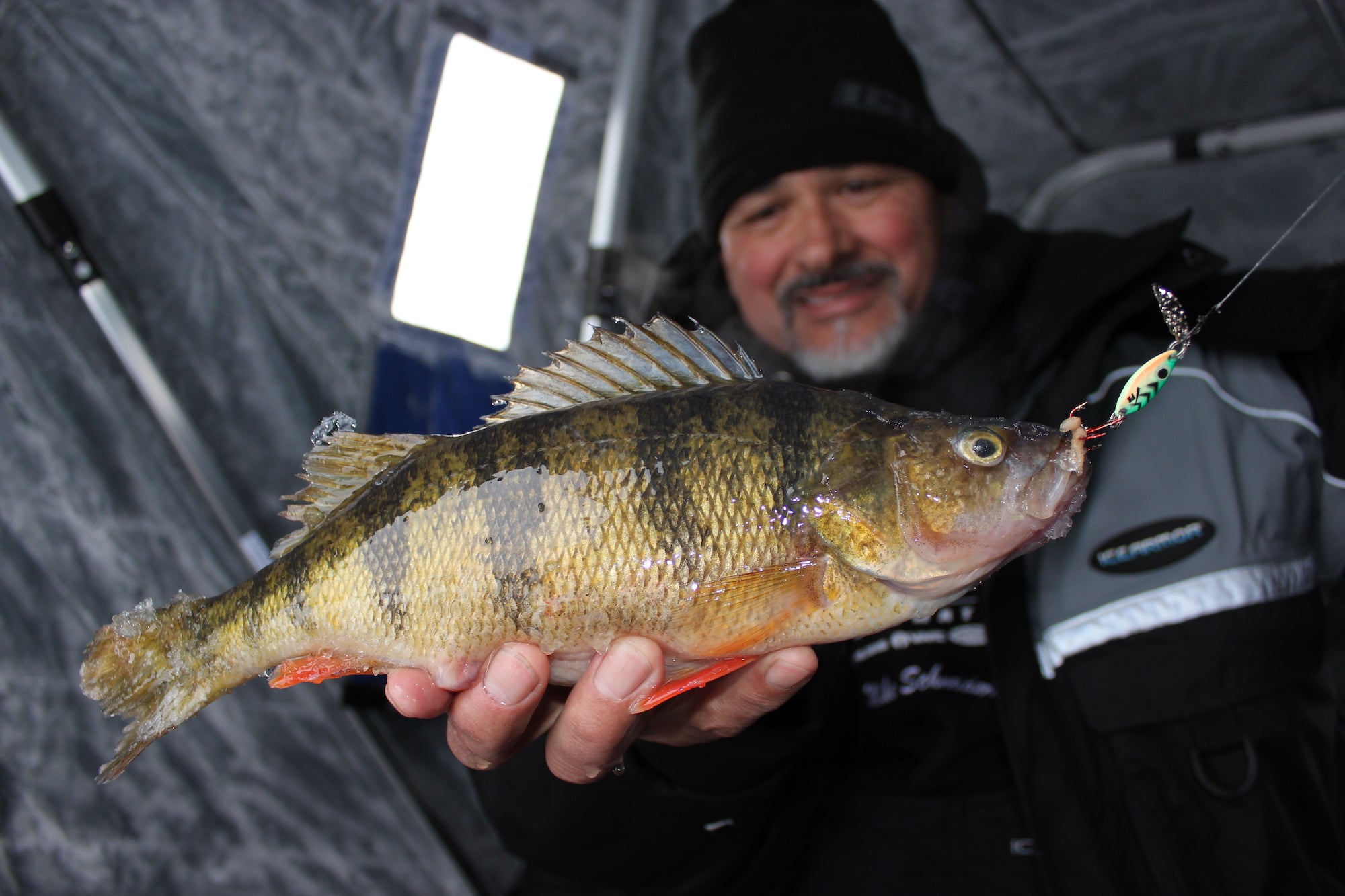5 Best Perch Lures for 2024 Fishing 