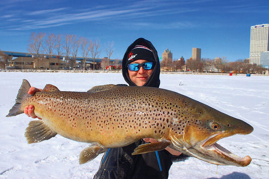 TRACKING ICE-BOUND BROWNS  —  Matt Straw