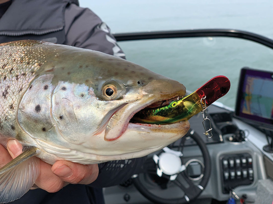 Best Rainbow Trout Bait: An Angler's Guide