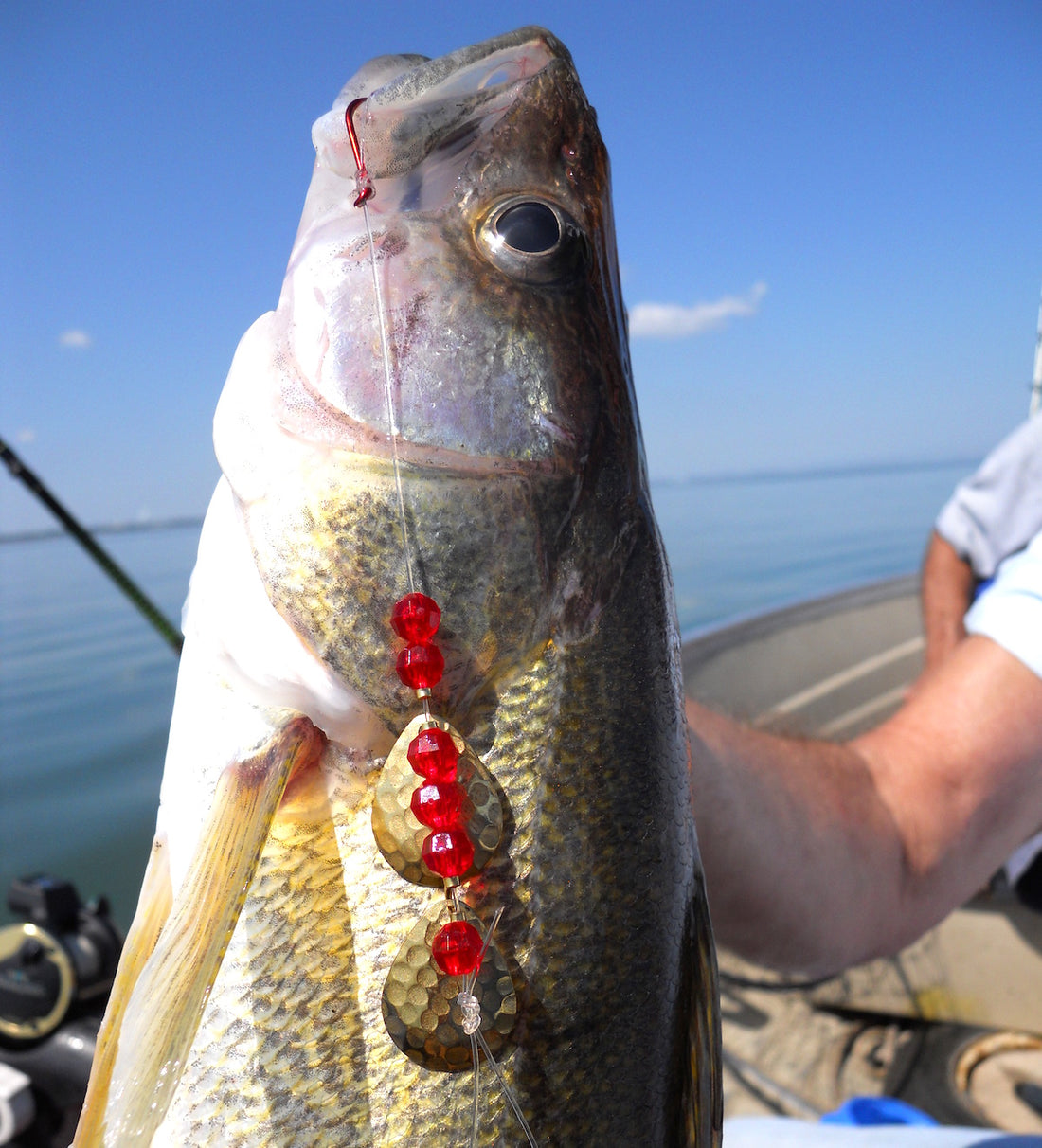 How to Fish Big Lakes from Shore