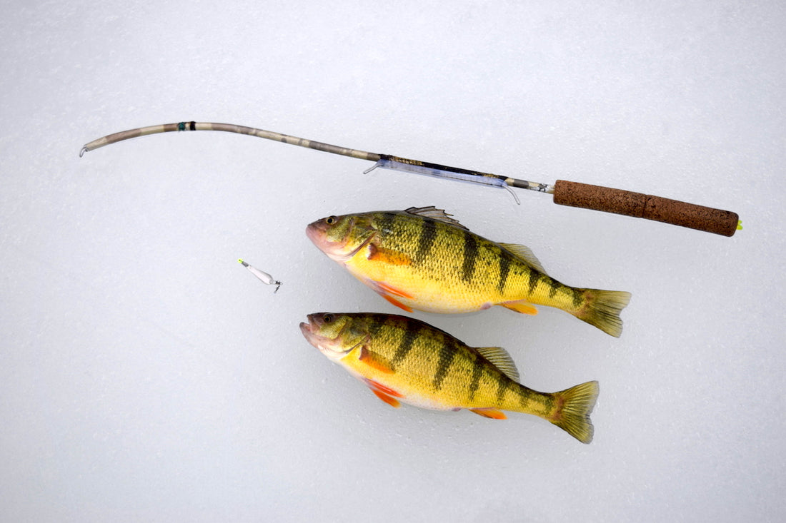 How to make perch ice fishing Jigs ✔️ 
